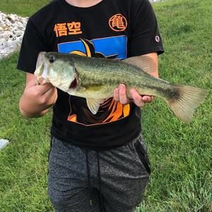 Meet your Posher, Luke